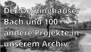 Der Deininghauser Bach und 100 andere Projekte in unserem Archiv