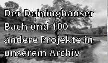 Der Deininghauser Bach und 100 andere Projekte in unserem Archiv