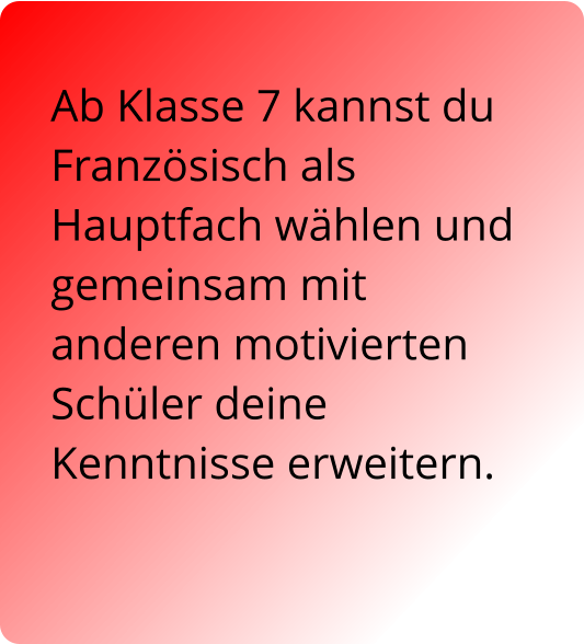 Ab Klasse 7 kannst du Französisch als Hauptfach wählen und gemeinsam mit anderen motivierten Schüler deine Kenntnisse erweitern.