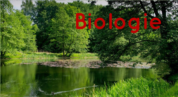 Biologie