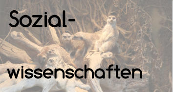 Sozial- wissenschaften