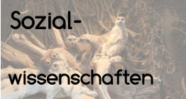 Sozial- wissenschaften