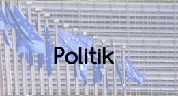 Politik