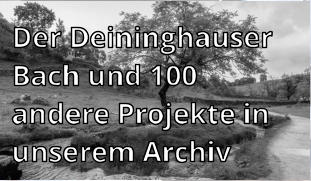 Der Deininghauser Bach und 100 andere Projekte in unserem Archiv