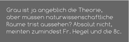 Grau ist ja angeblich die Theorie,  aber müssen naturwissenschaftliche  Räume trist aussehen? Absolut nicht,  meinten zumindest Fr. Hegel und die 8c.