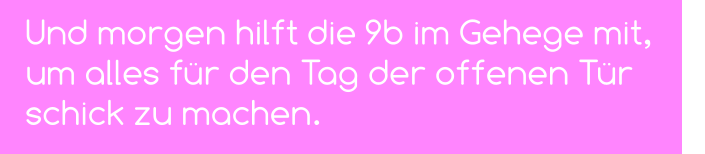 Und morgen hilft die 9b im Gehege mit,  um alles für den Tag der offenen Tür schick zu machen.