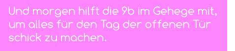 Und morgen hilft die 9b im Gehege mit,  um alles für den Tag der offenen Tür schick zu machen.